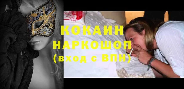 дживик Пестово