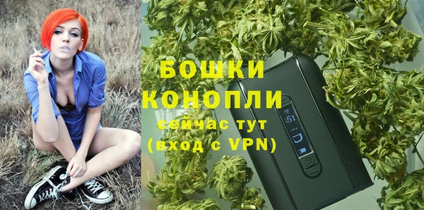 дживик Пестово