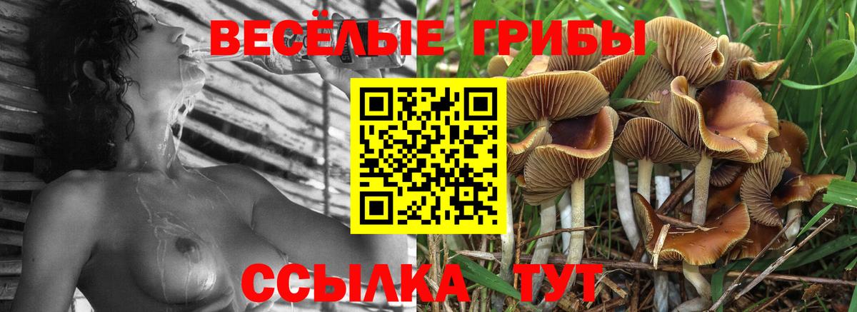 Галлюциногенные грибы мухоморы Аша